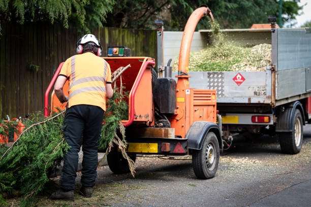 Best Aeration Services  in Winter Haven, FL